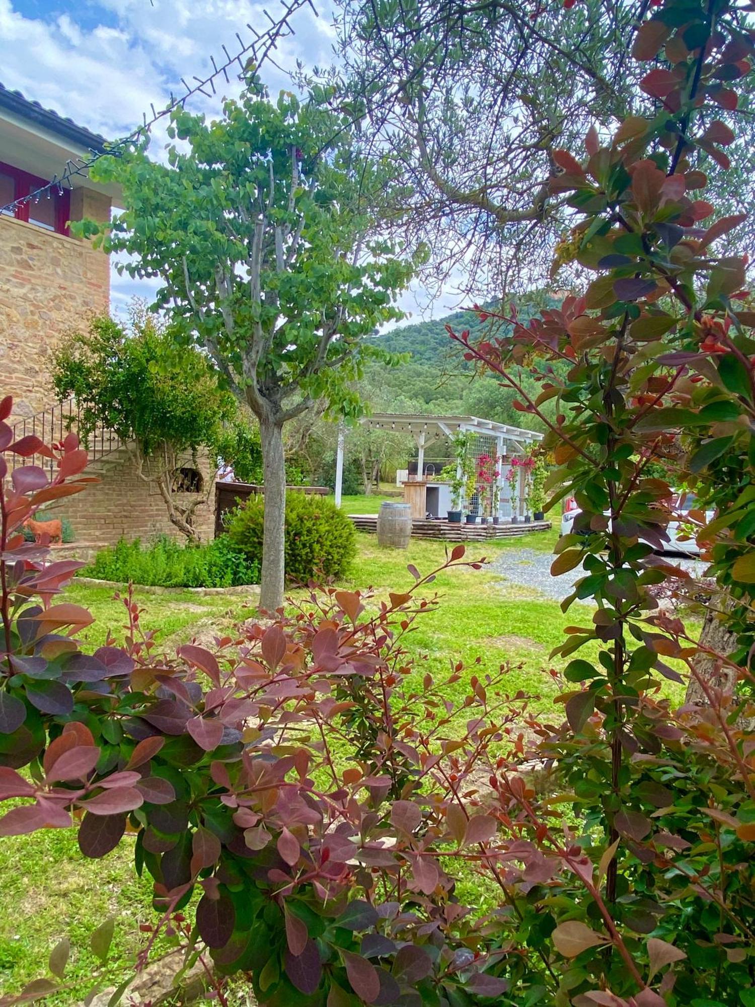 Nonna Nara Bed & Breakfast Grosseto Exterior photo